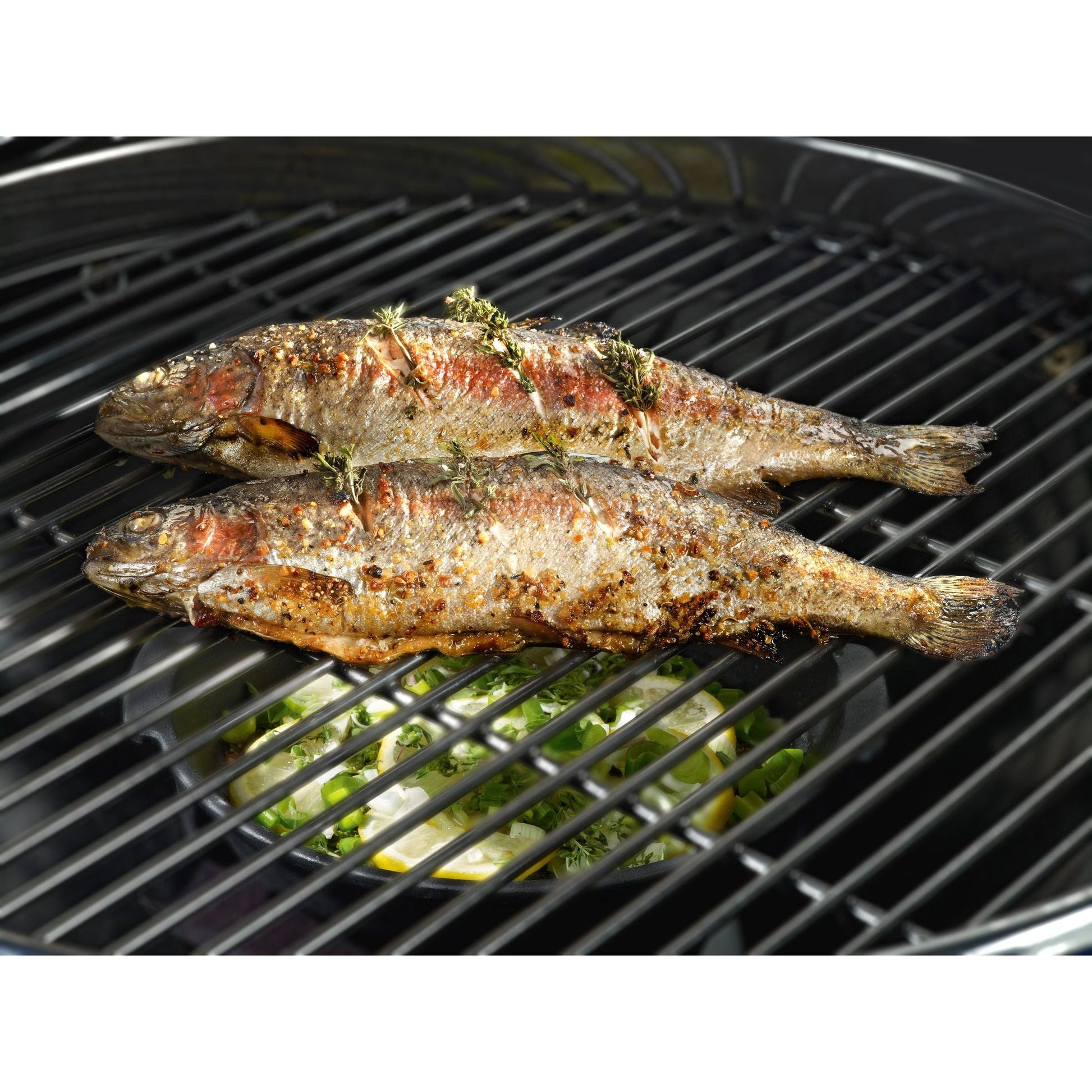BBQ Accessoire Aromapan