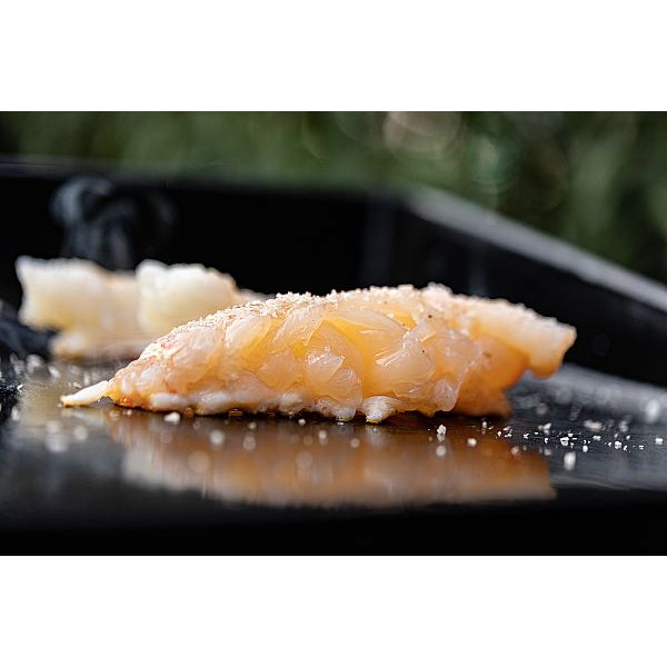 BBQ Accessoire Plancha Bakplaat Universeel